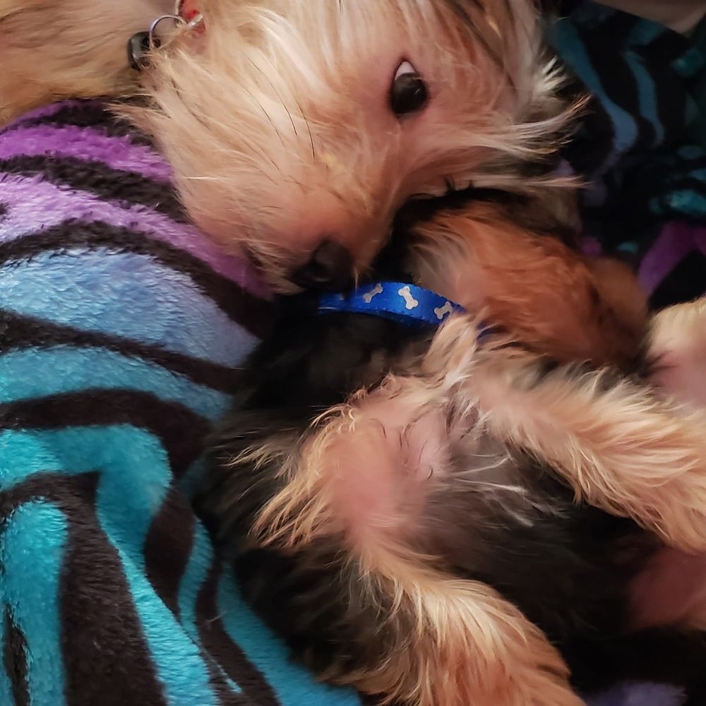 Meet your Posher, Jenn